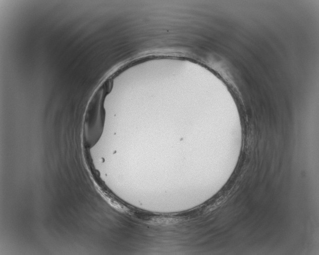 X0000082161237200702162226