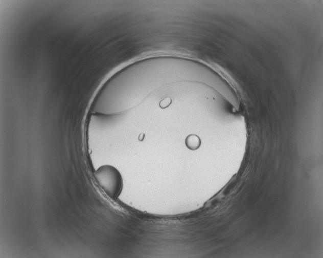 X0000082161238200702162226