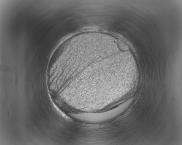 X0000082161239200702162226