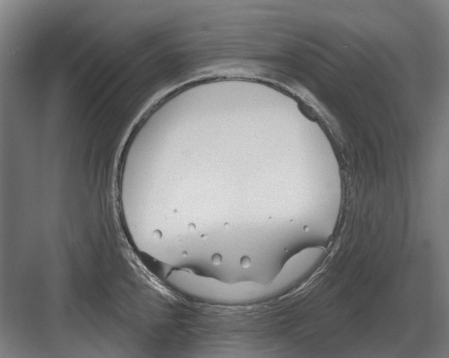 X0000082161240200702162226