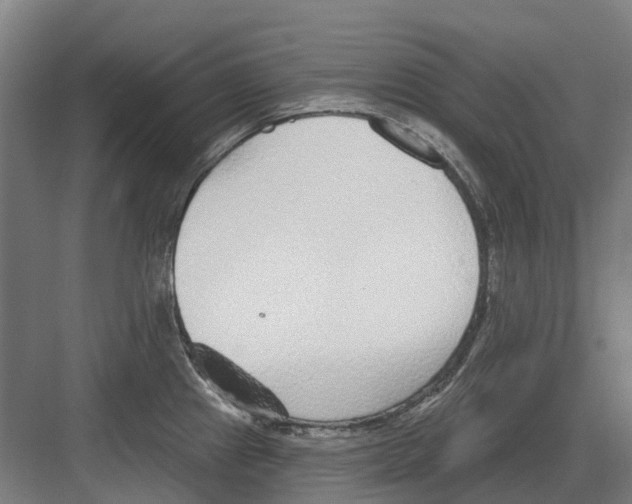 X0000082161241200702162226