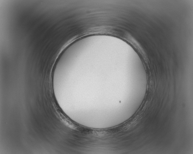 X0000082161242200702162226