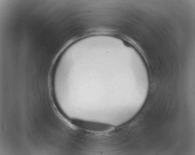 X0000082161243200702162226