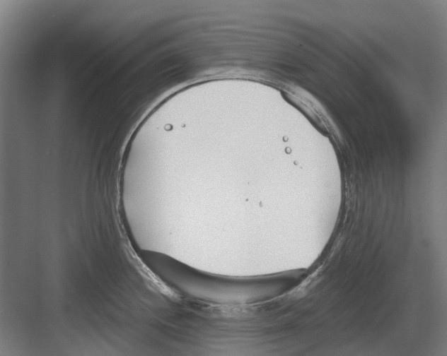 X0000082161244200702162226