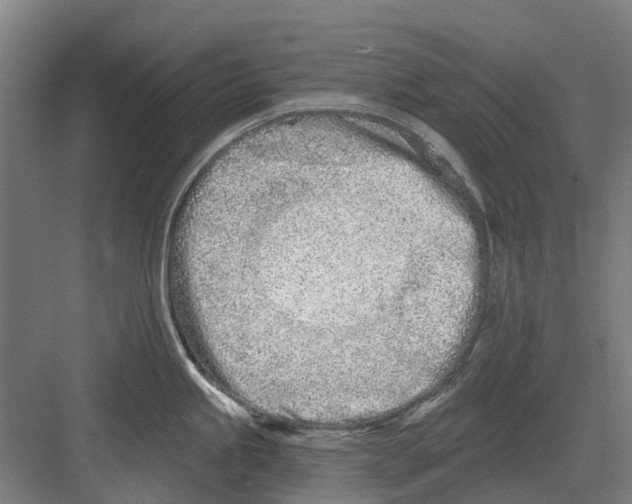 X0000082161245200702162226