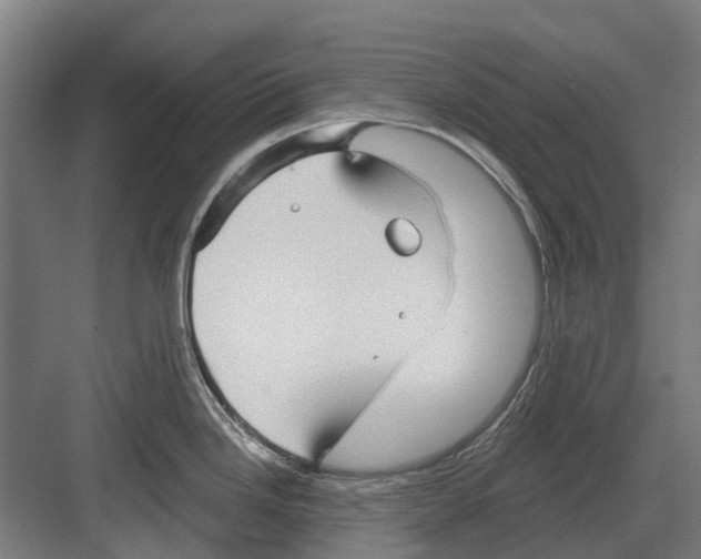 X0000082161246200702162226