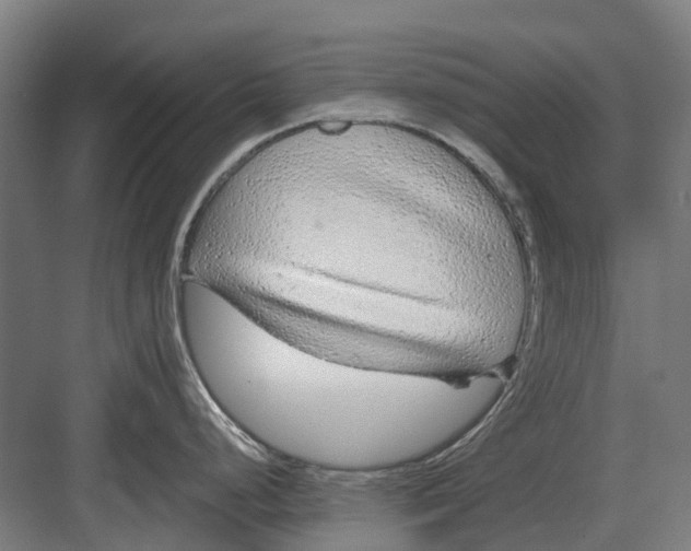 X0000082161248200702162226