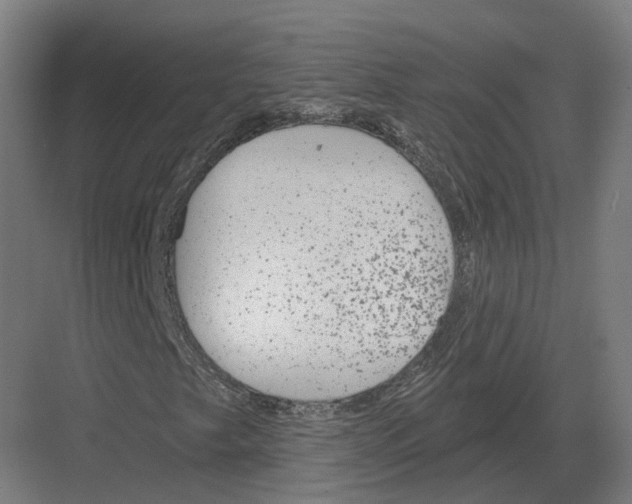 X0000082161249200702162225