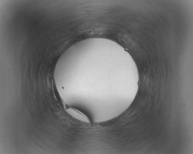 X0000082161250200702162225