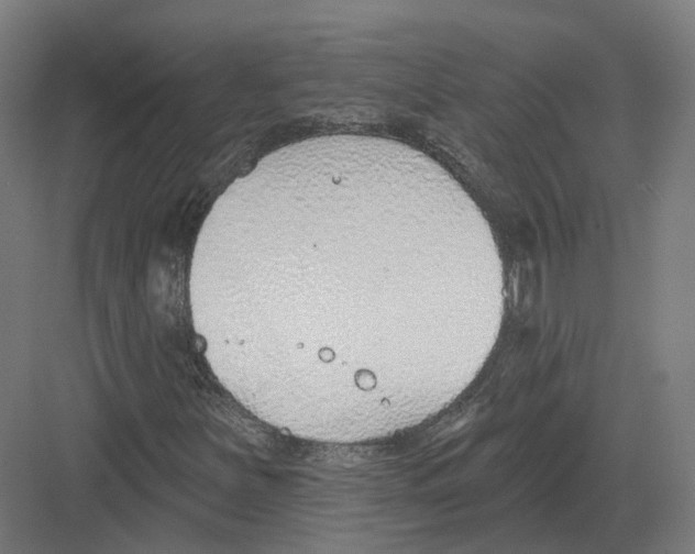 X0000082161251200702162225