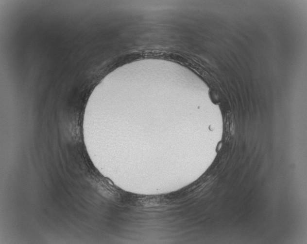 X0000082161252200702162225