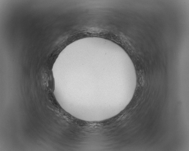 X0000082161253200702162225