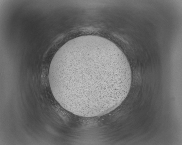 X0000082161254200702162225