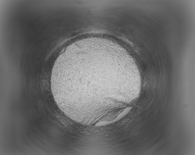 X0000082161255200702162225