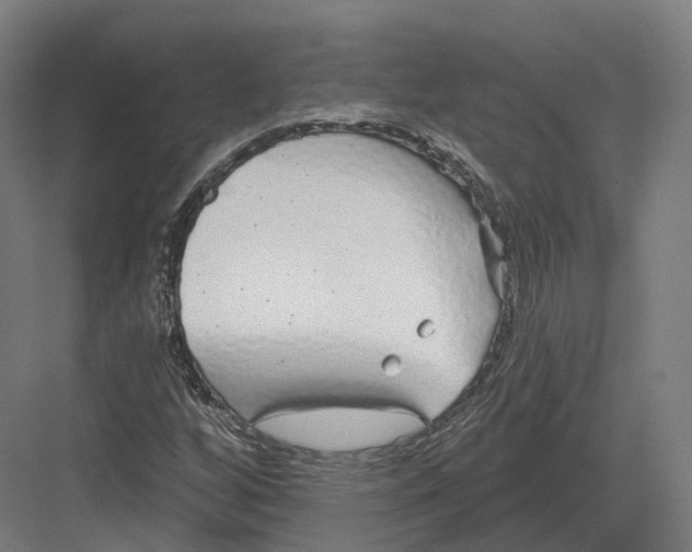 X0000082161256200702162225