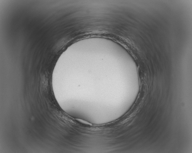 X0000082161257200702162225