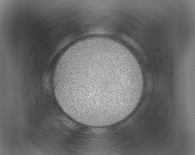 X0000082161258200702162225