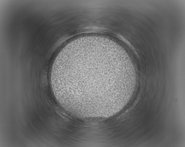 X0000082161259200702162225