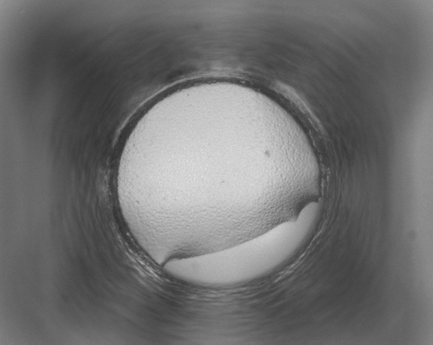 X0000082161260200702162225