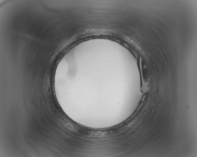 X0000082161261200702162225