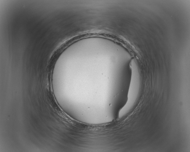 X0000082161262200702162225