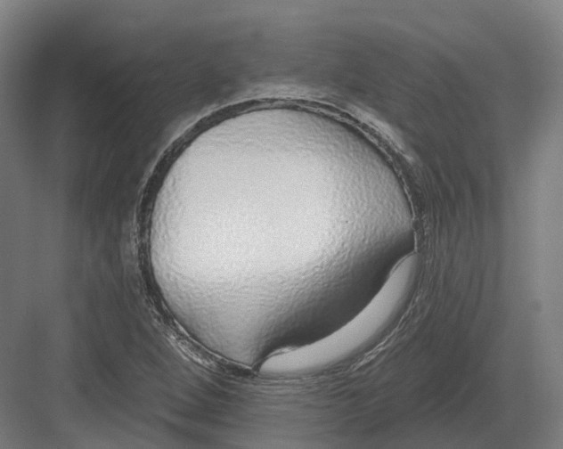 X0000082161264200702162225