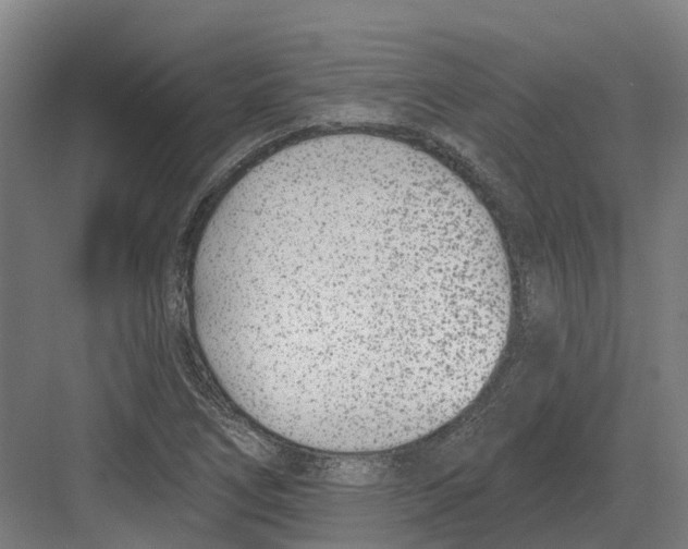 X0000082161266200702162225