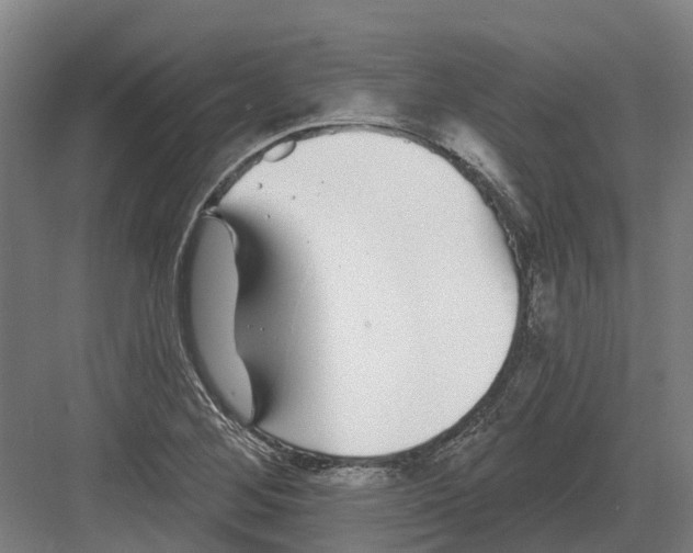 X0000082161268200702162225