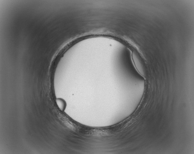 X0000082161270200702162225