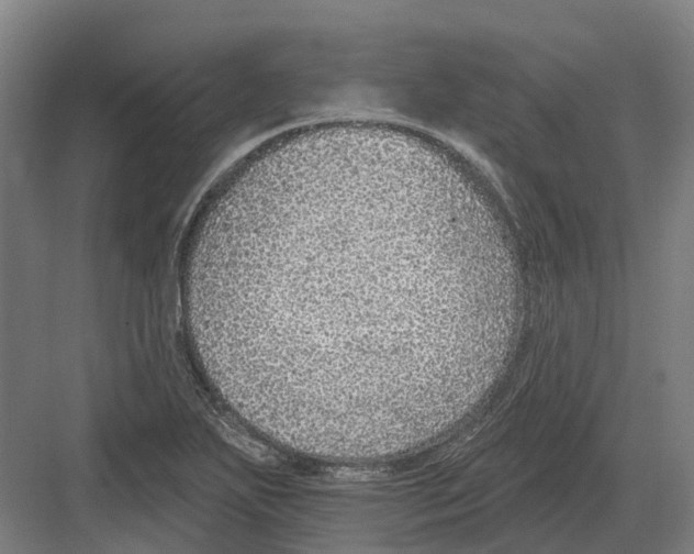 X0000082161271200702162225