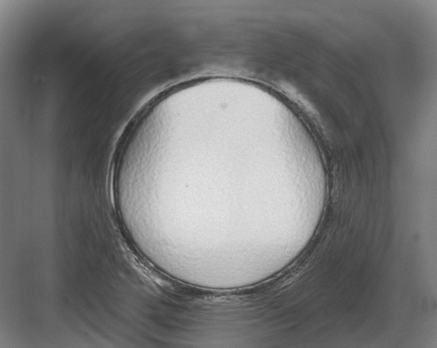 X0000082161272200702162225