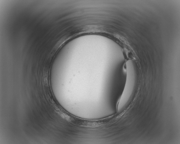 X0000082161273200702162225