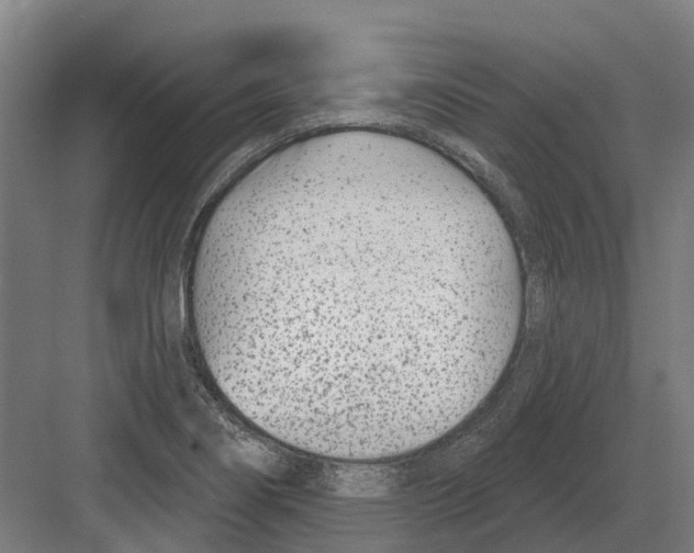 X0000082161274200702162225