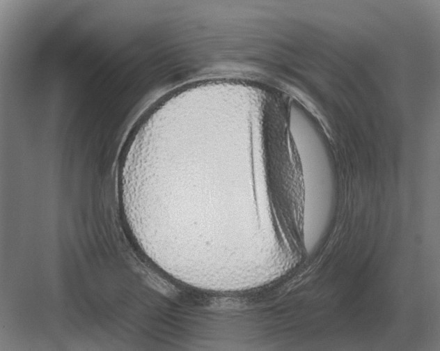 X0000082161275200702162225