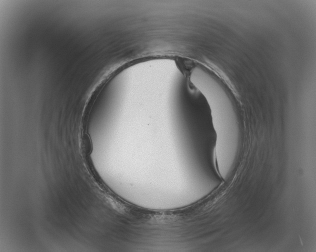 X0000082161277200702162225