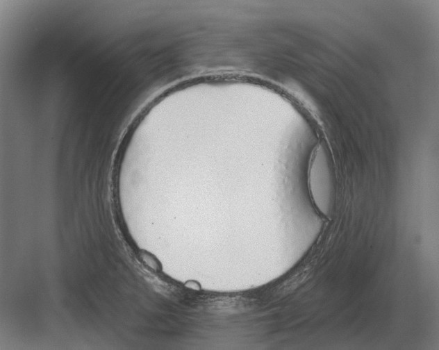 X0000082161279200702162225