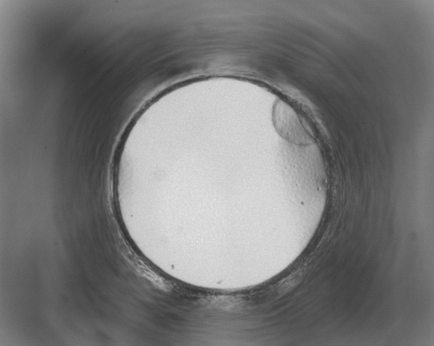 X0000082161280200702162225