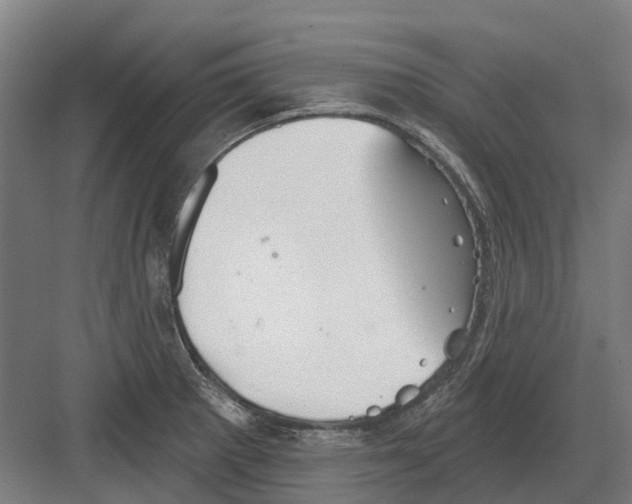 X0000082161281200702162225