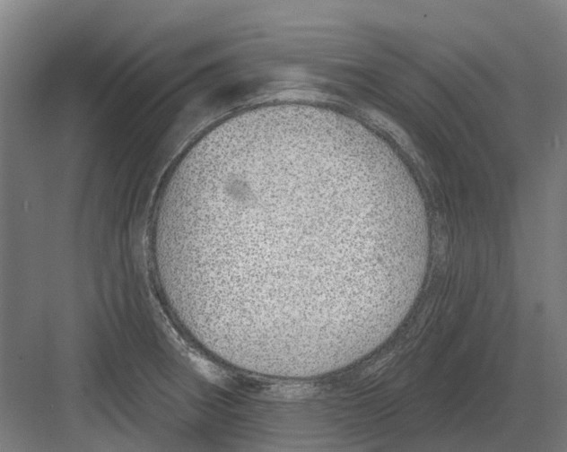 X0000082161282200702162225