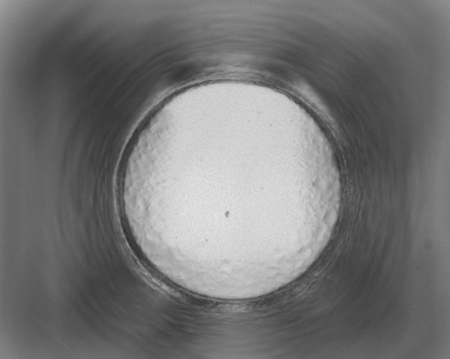 X0000082161283200702162225