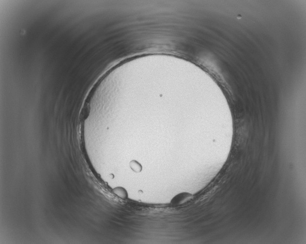 X0000082161284200702162225