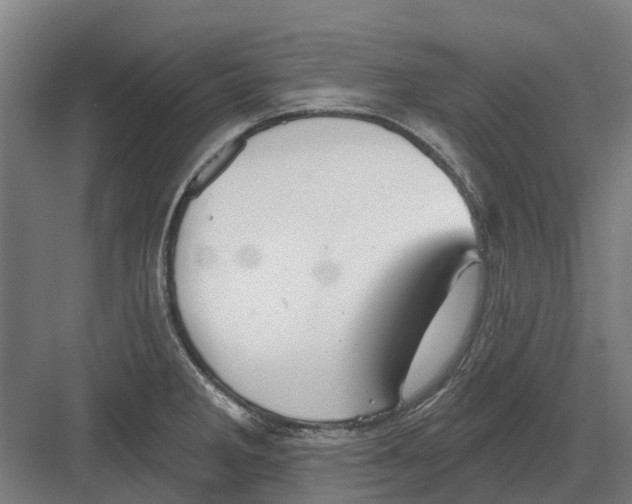 X0000082161285200702162225