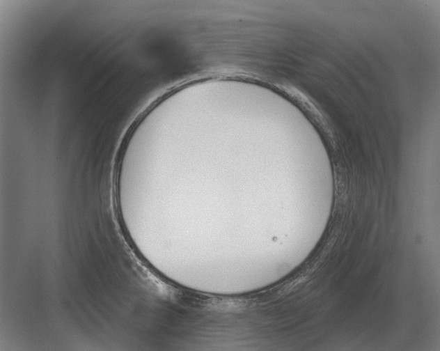 X0000082161286200702162225