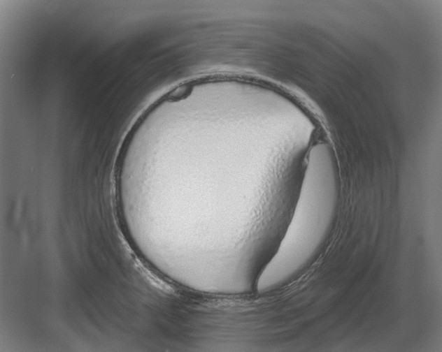 X0000082161287200702162225