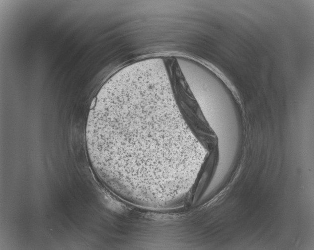 X0000082161289200702162225