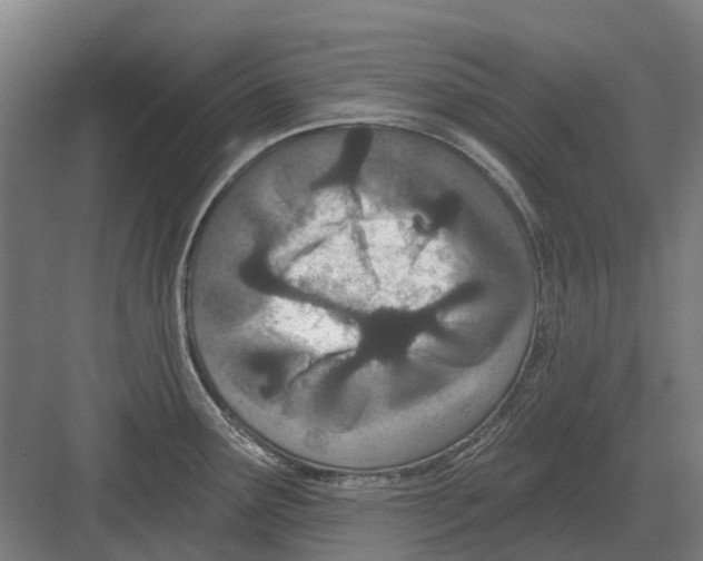 X0000082161291200702162225