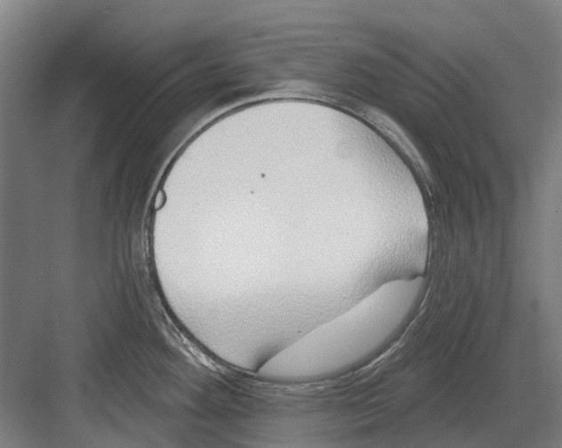 X0000082161292200702162225