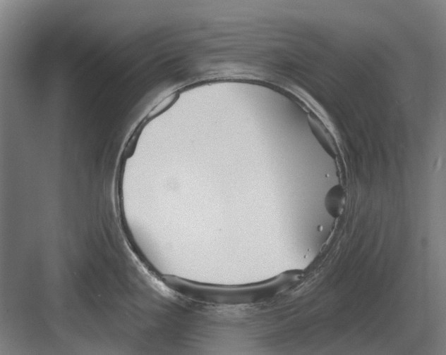 X0000082161293200702162225