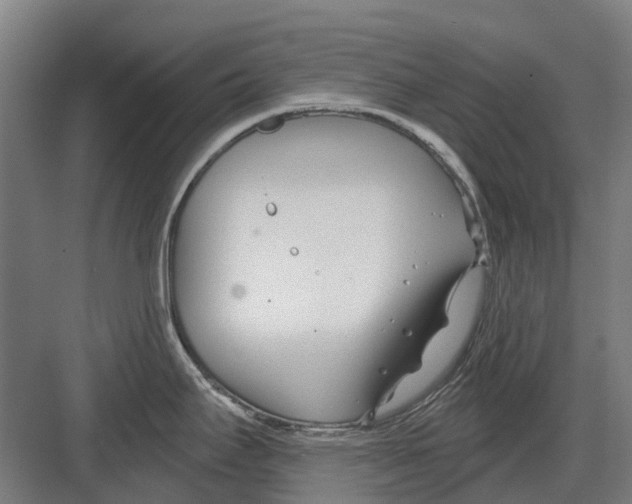 X0000082161295200702162225