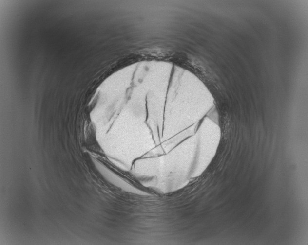 X0000082161297200702162224